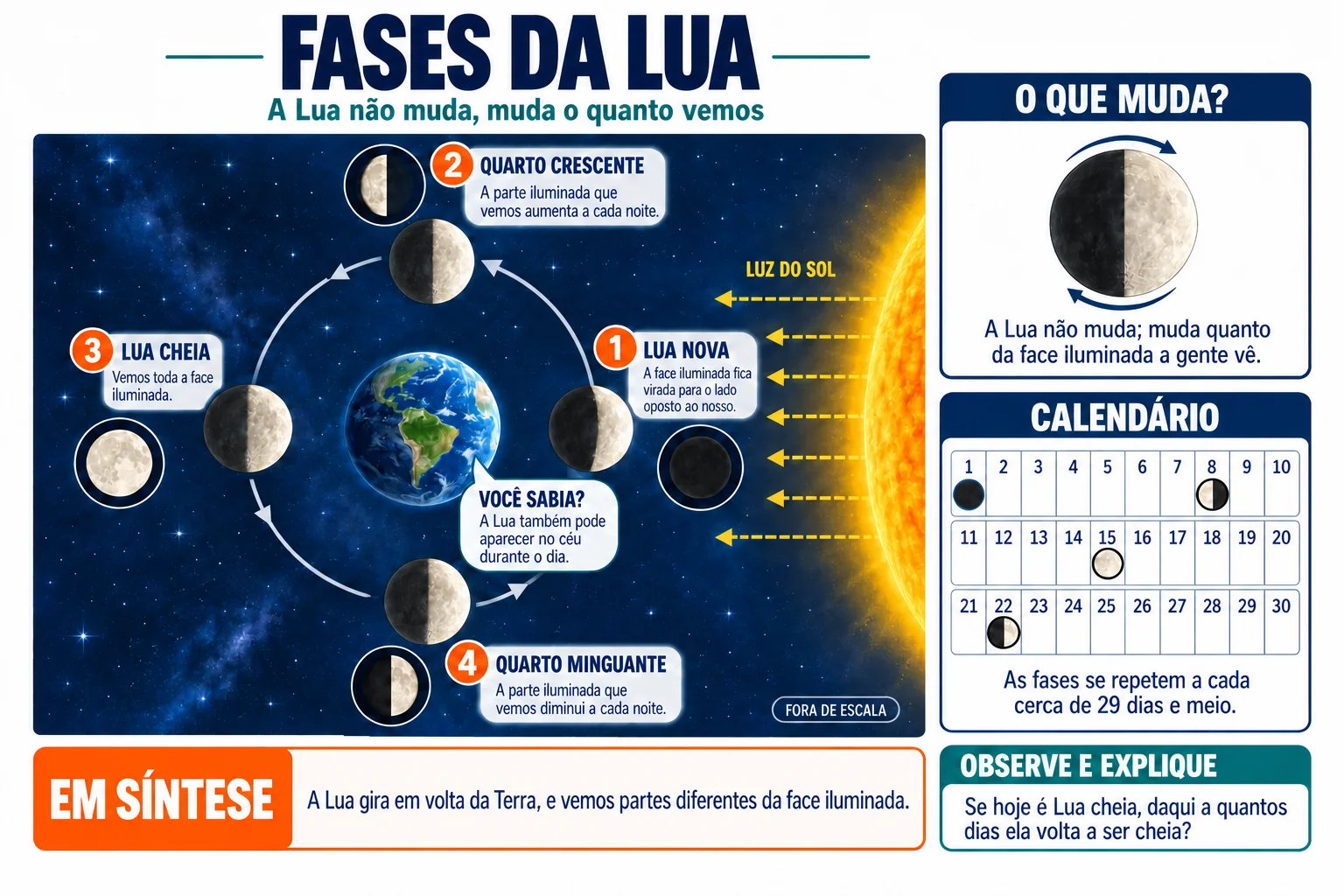 Folha ilustrada: Fases da Lua